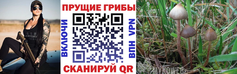 hydra ССЫЛКА  что такое   Красноуральск  Галлюциногенные грибы ЛСД 